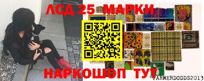 спиды Гусев